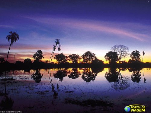 Viva o Pantanal